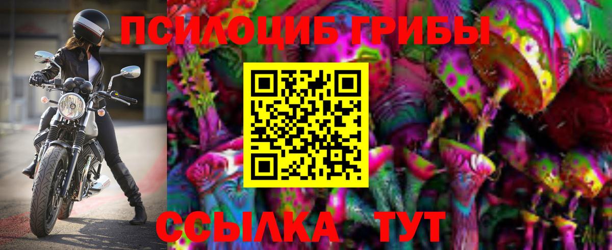купить наркотик  Псилоцибиновые грибы мухоморы  Вход с VPN  Новороссийск 
